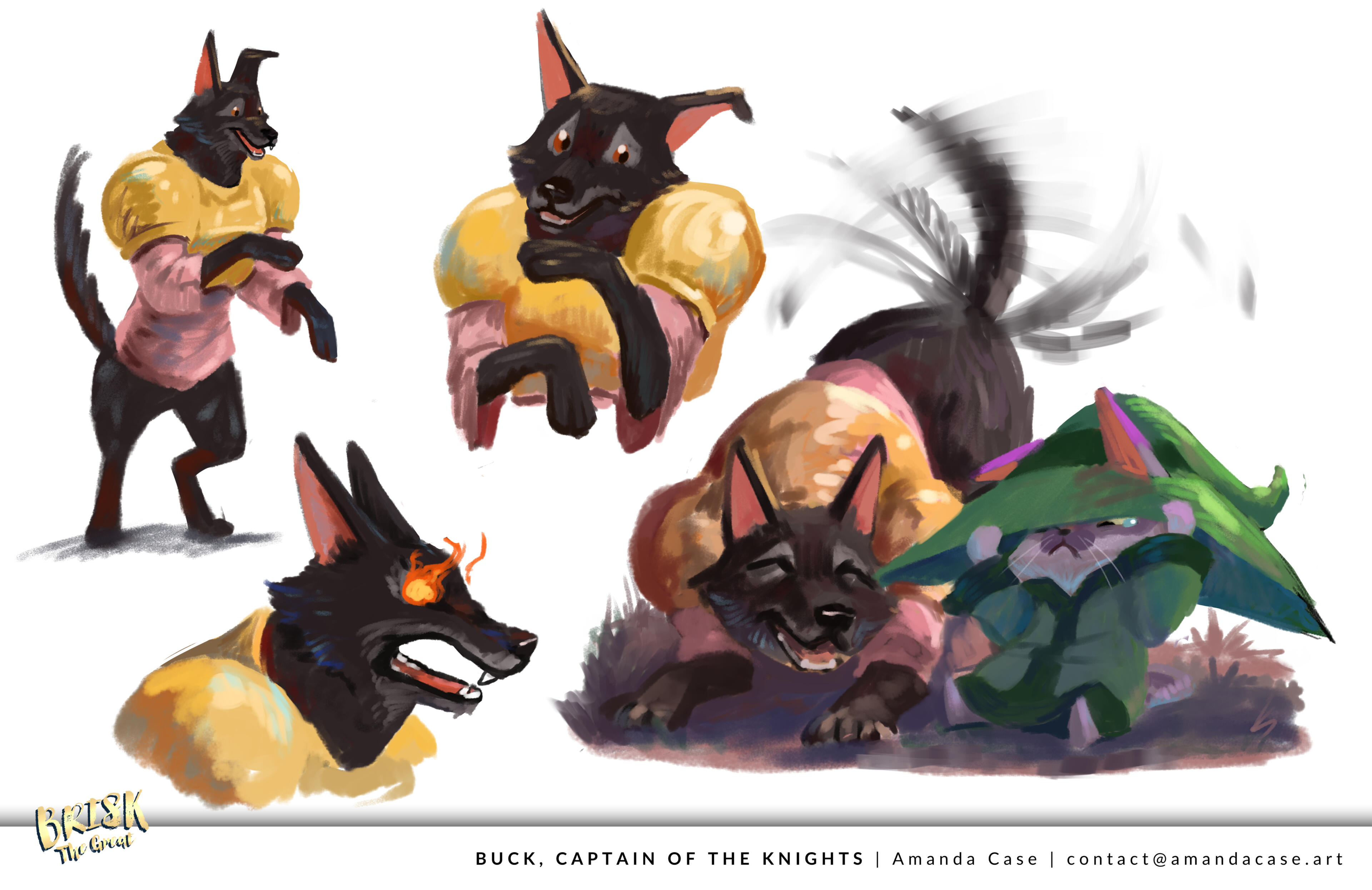 Buck: Character Sheet Buck: Character Sheet
